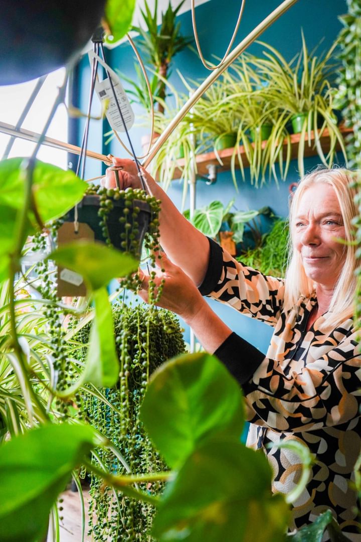 Plant Room Tracy