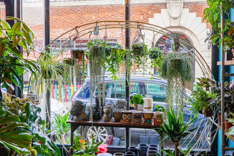 Plant Room interior window