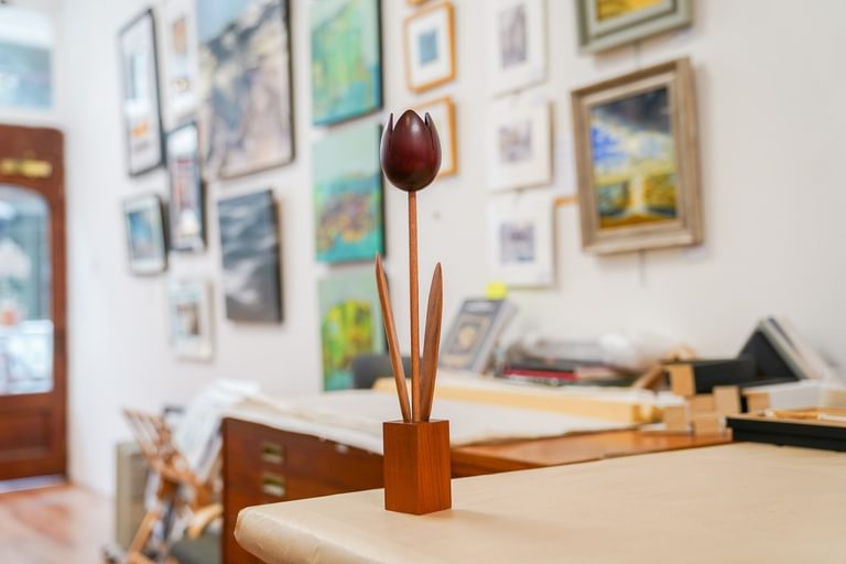 Gallery More gift tulip